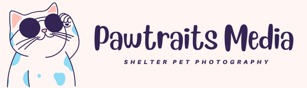 Pawtraits Media